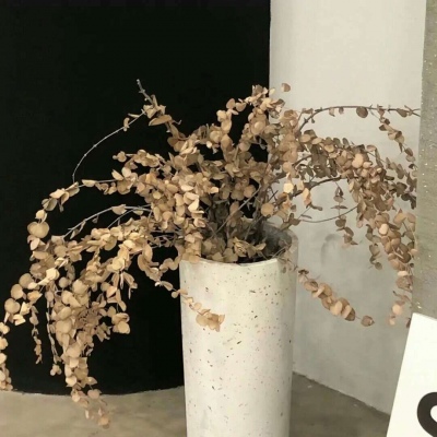 靖安FurryQQ群介绍